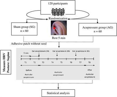 Heart rate variability during auricular acupressure at the left sympathetic point on healthy volunteers: a pilot study